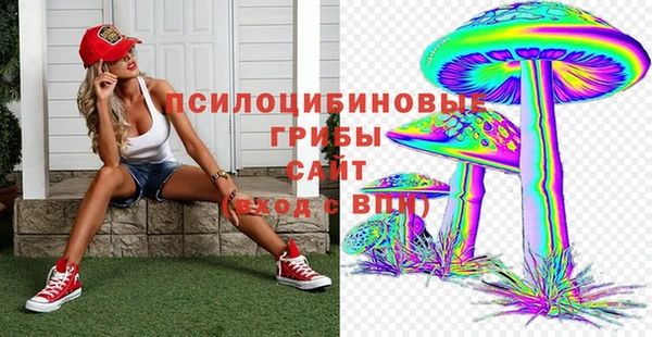 хмурый Алексеевка