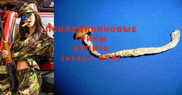 apvp Михайлов