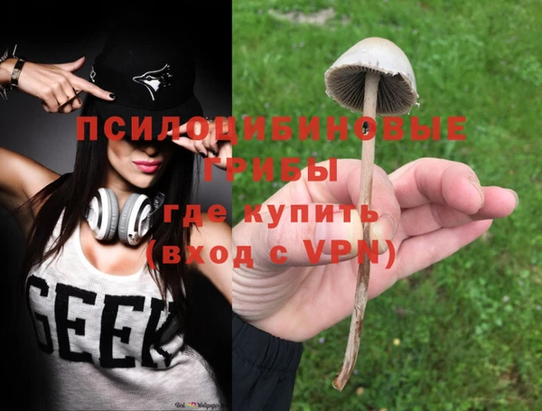 хмурый Алексеевка