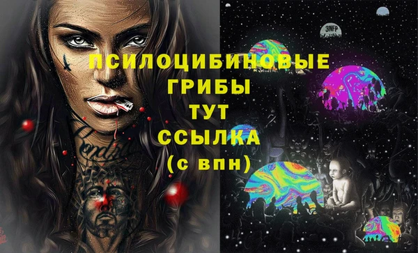 молекула духа Алзамай