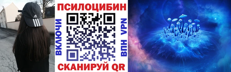 закладки  Ачинск  Псилоцибиновые грибы мухоморы 